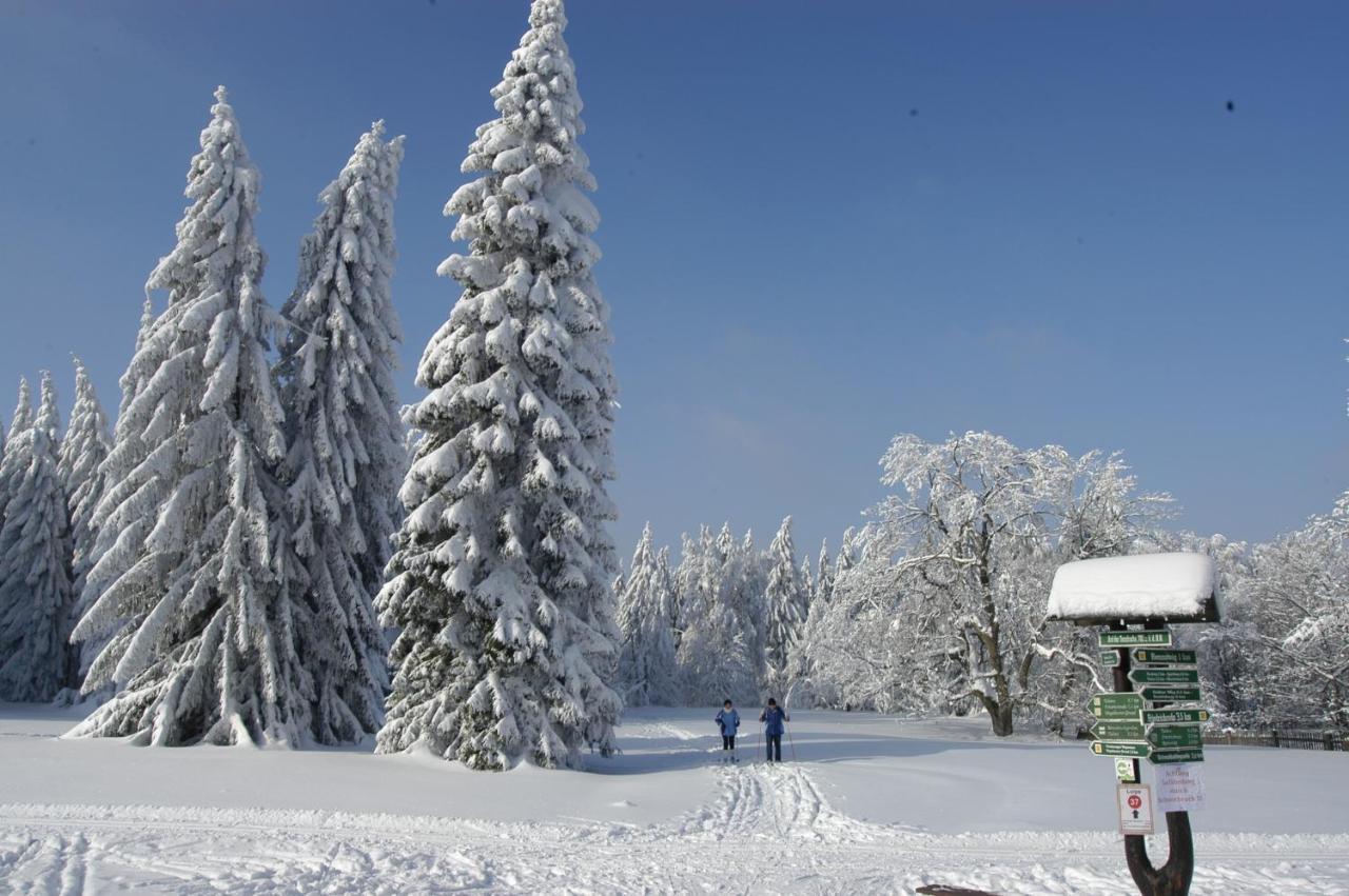 Hotel Tanzbuche Friedrichroda Zewnętrze zdjęcie